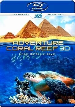 埃及海底珊瑚礁探險之旅 (2D+快門3D) (Adventure Coral Reef Under The Sea Of Egypt )