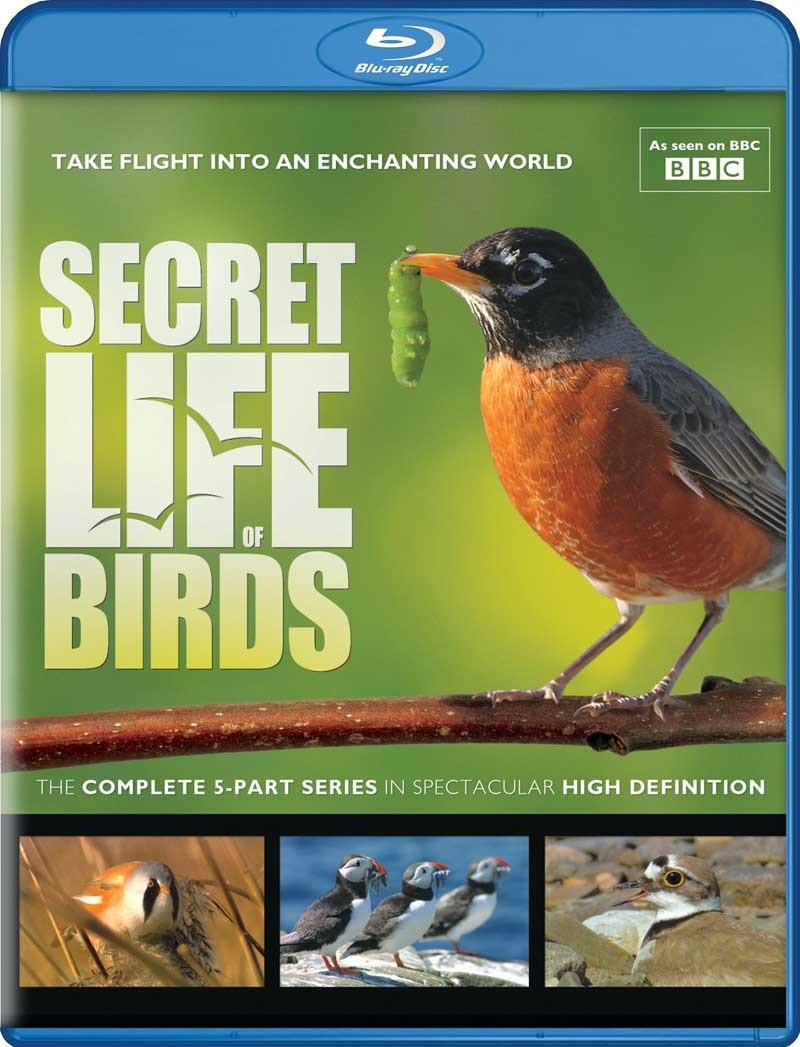 BBC 鳥類的秘密生活 (The Secret Life of Birds)