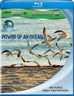 Discovery 赤道-海洋的力量 加拉巴哥群島 (Equator - Power of an Ocean)