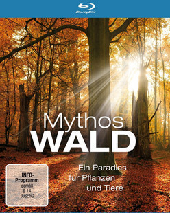 神話的森林 (Mythos Wald)