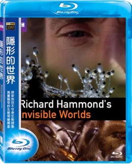 BBC 隱形的世界 (Richard Hammond＇s Invisible Worlds)