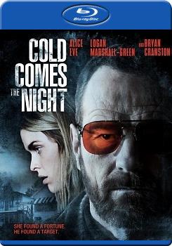 汽車旅館瘋劫案 (Cold Comes the Night )