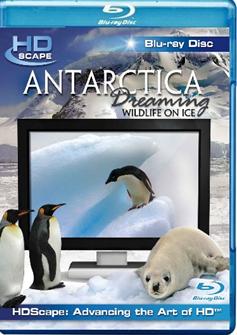 高清之窗 南極洲之夢 (Antarctica Dreaming)