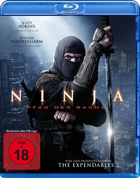 紐約忍者戰記 (Ninja)