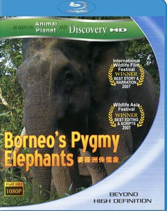 婆羅洲侏儒象 (Borneo＇s Pygmy Elephants)