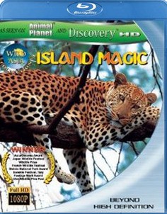 發現系列 驚奇之島 (Island Magic)