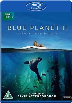BBC 藍色星球2 (3碟裝) (Blue Planet II)