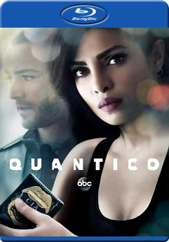 諜網/黑白同行 第二季 (3碟裝) (Quantico Season 2)