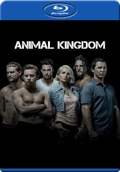 野獸家族 第一季 (2碟裝) (Animal Kingdom Season 1)