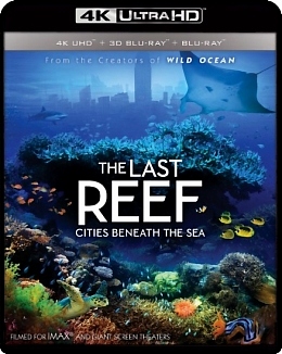 最後的珊瑚礁 (杜比全景聲) - 50G (4K)  (The Last Reef: Cities Beneath the Sea )