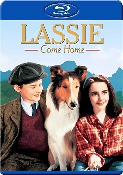 靈犬萊西 (1943)  (Lassie Come Home )