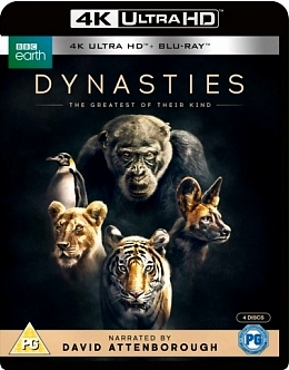 BBC 動物王朝 - 50G (4K) (2碟裝)  (Dynasties )