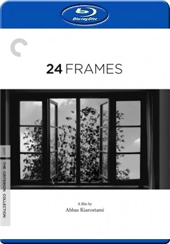 24格  (24 Frames )