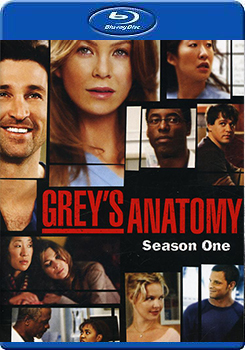 醫人當自強 第一季 (Grey＇s Anatomy Season 1)