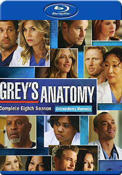 醫人當自強 第八季 (3碟裝) (Grey＇s Anatomy Season 8)