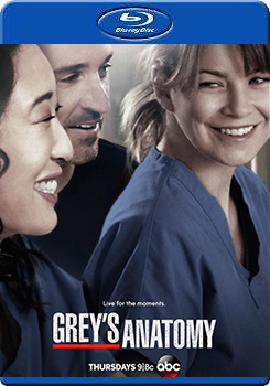 醫人當自強 第十季 (3碟裝) (Grey＇s Anatomy Season 10)