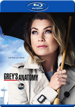 醫人當自強 第十二季 (3碟裝) (Grey＇s Anatomy Season 12)