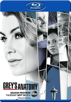 醫人當自強 第十四季 (3碟裝) (Grey＇s Anatomy Season 14)