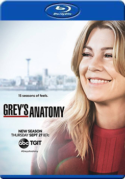 醫人當自強 第十五季 (3碟裝) (Grey＇s Anatomy Season 15 )