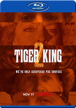 虎王2 (2碟裝) (Tiger King 2 Season 2)