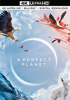 完美星球 (2碟裝) (杜比全景聲) - 50G (4K)  (A Perfect Planet)