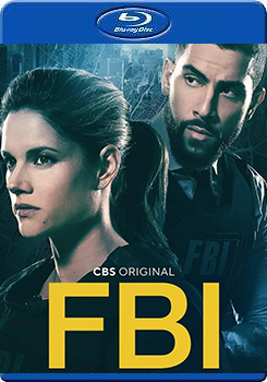 聯邦調查局 第四季 (2碟裝) (FBI Season 4)