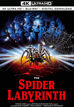 蜘蛛迷宮 - 50G (4K) (The Spider Labyrinth)