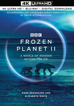 冰凍星球 第二季 (2碟裝) (杜比全景聲) - 50G (4K) (Frozen Planet Season 2)